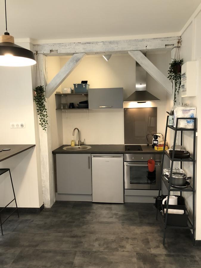 Apartmán Hypercentre Orléans Exteriér fotografie